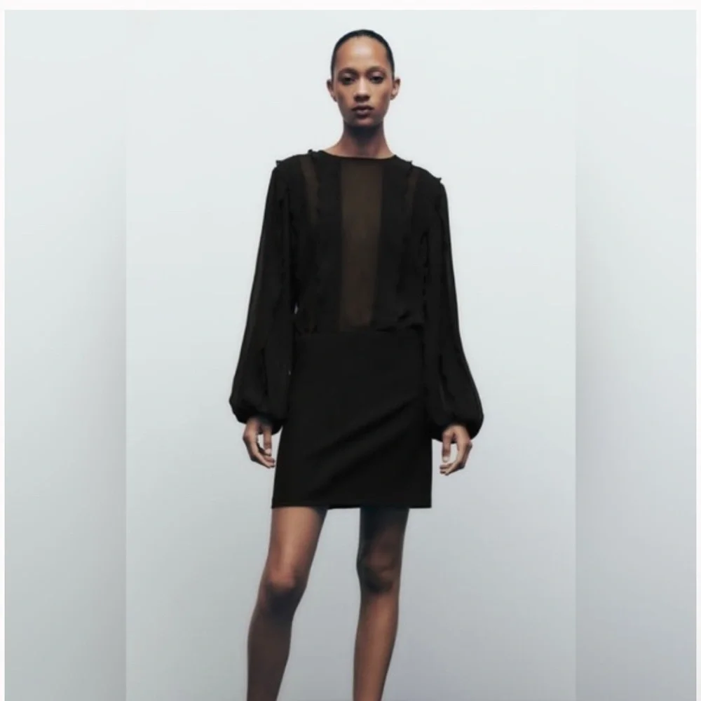 Zara Short Ruffle Dress, Sheer Black Long Sleeve, Parties, Dance, Cocktails, M - Picture 2 of 13